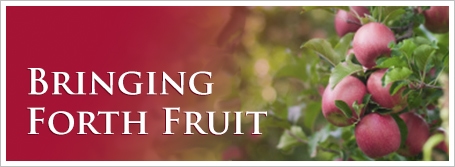 Bringing Forth Fruit