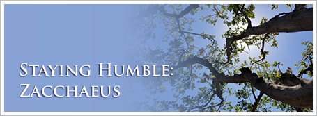 Staying Humble: Zacchaeus